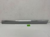 Rear door trim (molding)