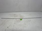 Front door trim (molding)