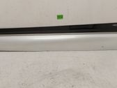Front door trim (molding)