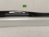 Rear door trim (molding)