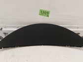 Dashboard trim