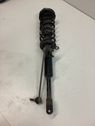 Front shock absorber with coil spring