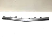 Front bumper splitter molding