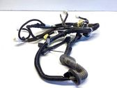 Front door wiring loom