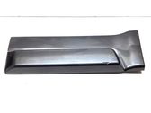 Rear door trim (molding)