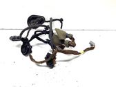 Rear door wiring loom