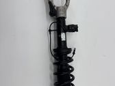 Rear shock absorber/damper