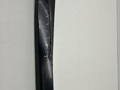 Rear door trim (molding)