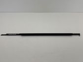 Front door glass trim molding
