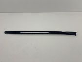 Windshield trim