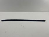 Rear door trim (molding)