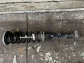 Rear shock absorber with coil spring