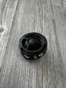 Front door high frequency speaker