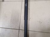 Tailgate/trunk strut/damper