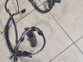 Other wiring loom