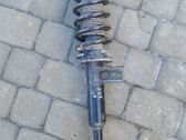 Front shock absorber with coil spring