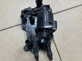 Thermostat/thermostat housing
