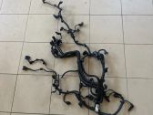 Engine installation wiring loom