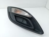 Seitenblinker