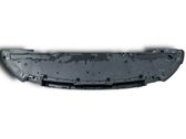 Front bumper skid plate/under tray