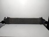 Radiador intercooler
