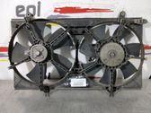 Electric radiator cooling fan