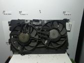 Electric radiator cooling fan