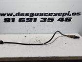 Sonde lambda