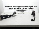 Cableado de instalación del motor