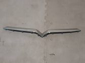 Front grill