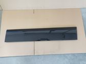 Front door trim (molding)