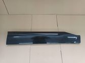 Listón embellecedor de la puerta delantera (moldura)