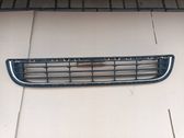Grille inférieure de pare-chocs avant