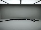Roof airbag