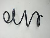 Front coil spring