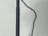 Tailgate/trunk strut/damper