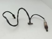 Sonde lambda