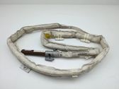 Roof airbag
