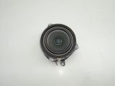 Panel speaker