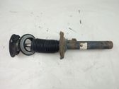 Front shock absorber/damper