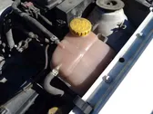 Fuel expansion tank