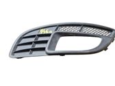 Front fog light trim/grill