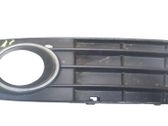 Front fog light trim/grill