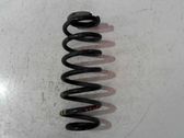 Rear coil spring