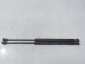 Tailgate/trunk strut/damper