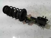Front shock absorber with coil spring
