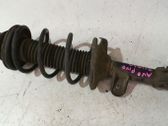 Front shock absorber with coil spring