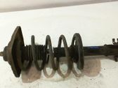 Front shock absorber with coil spring