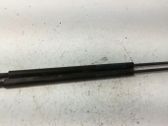 Tailgate/trunk strut/damper