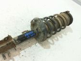 Front shock absorber with coil spring